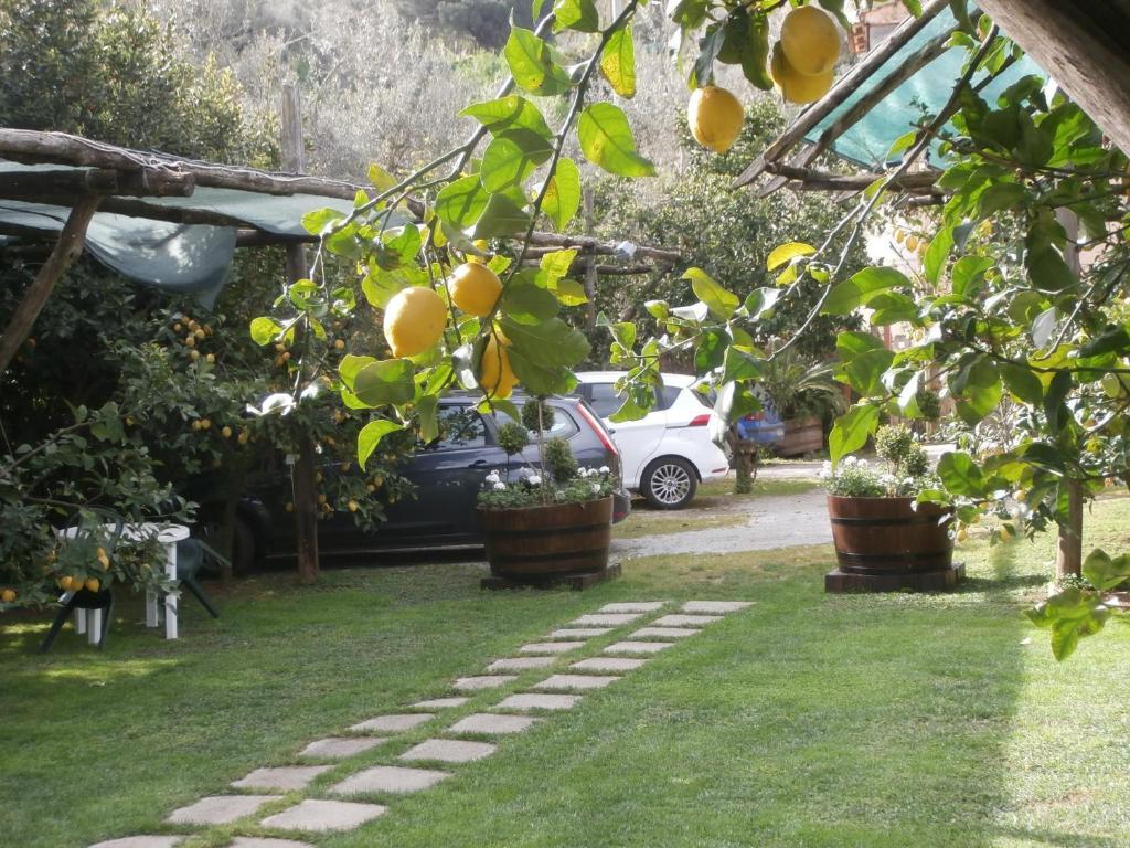 Villa De Angelis Сорренто Экстерьер фото